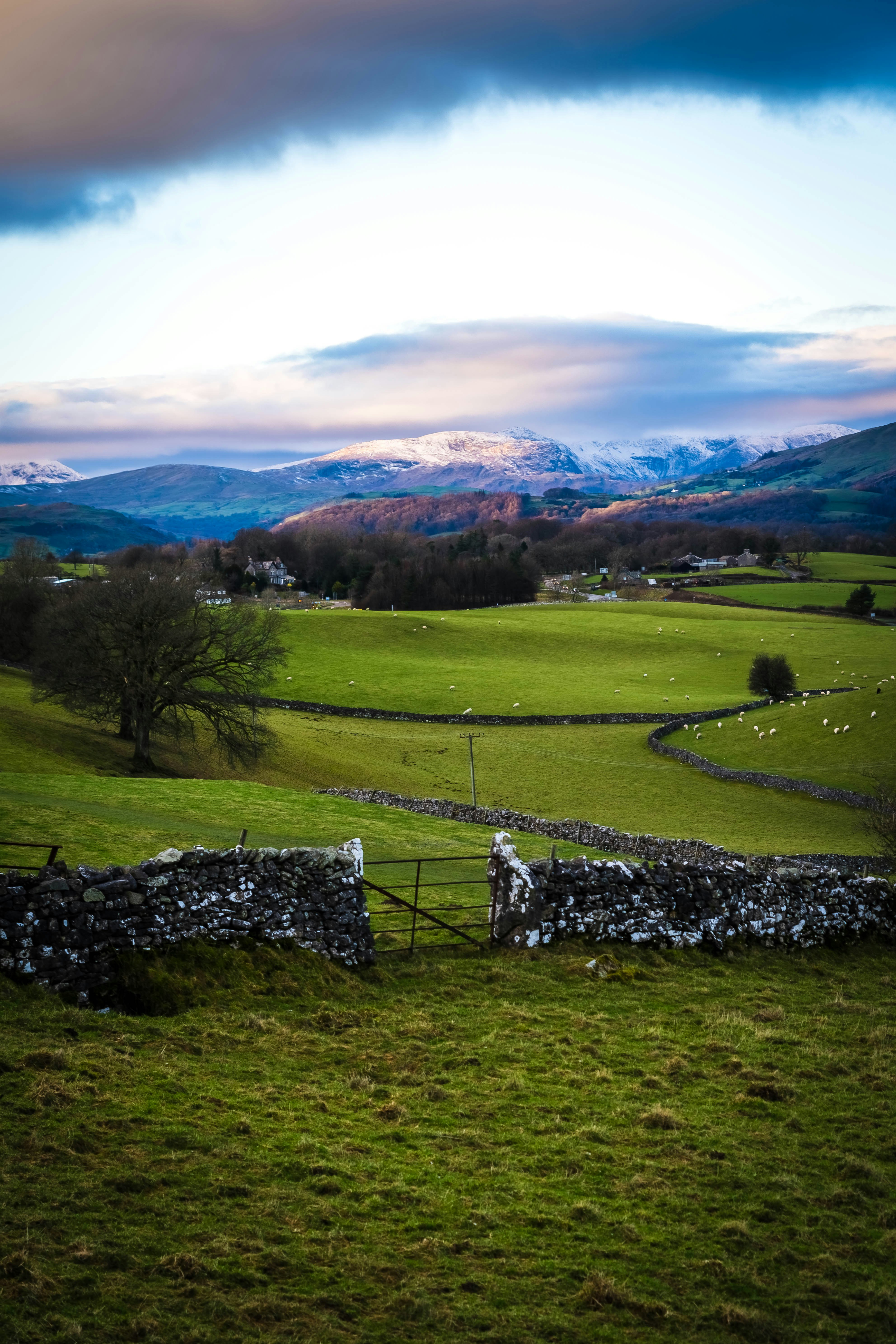 green grass field with mountain in distance